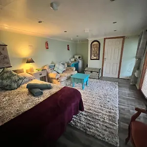 Cosy , Belfast United Kingdom